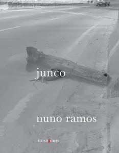 Junco