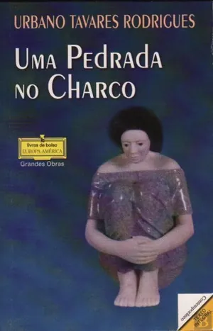 Uma pedrada no charco
