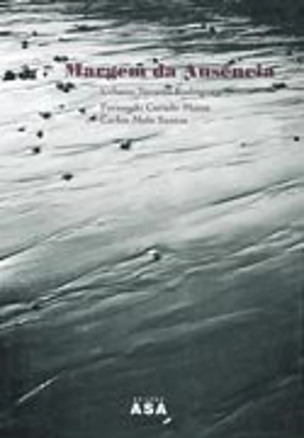 Margem da ausência