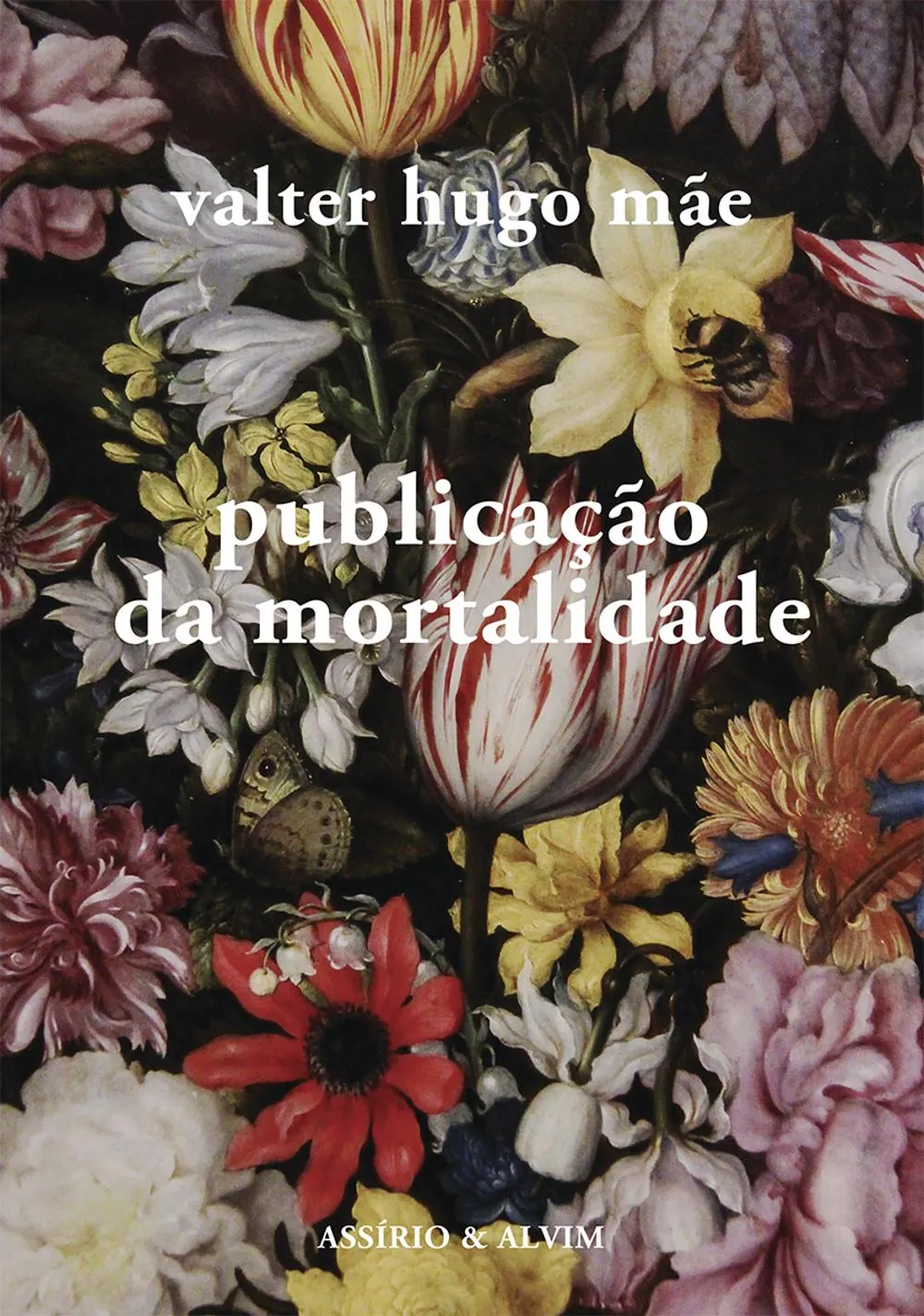 Publicação da mortalidade
