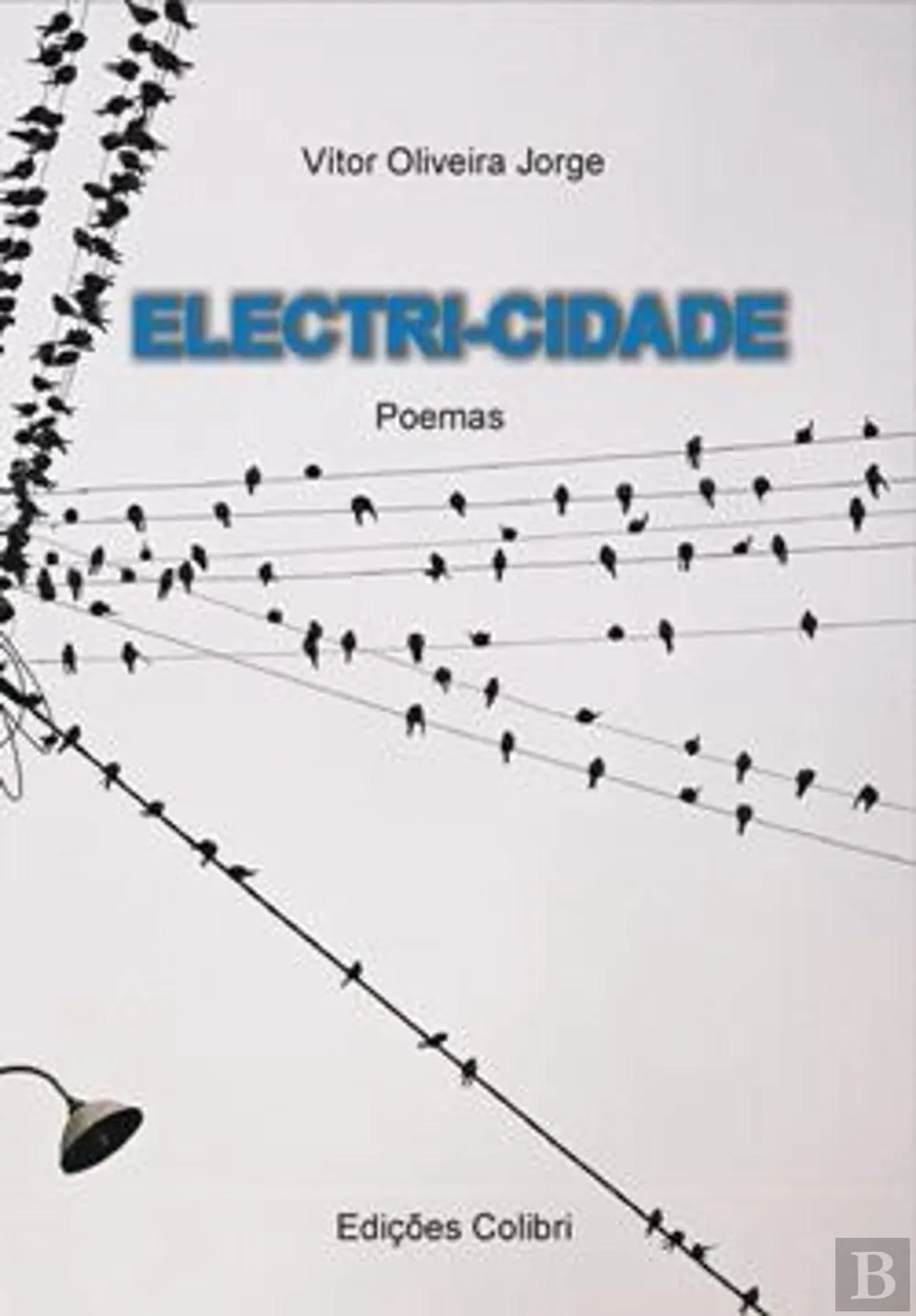 Electri-cidade