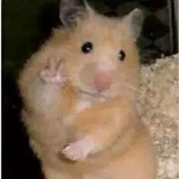 zangadow667