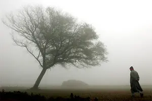 Carlos Simão Franco