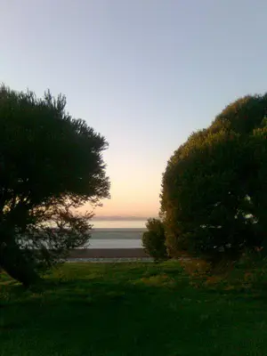 Teresa Mariana dos Santos