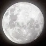 101150678389952691282