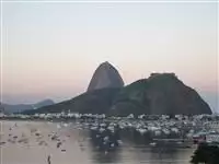 perdigoto