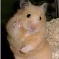 zangadow667