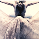 113645561554745562917