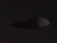 António Amaral Tavares