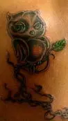 Fructus Noctivagus - C.L