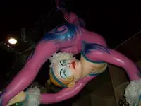 Fernando_Fachinii