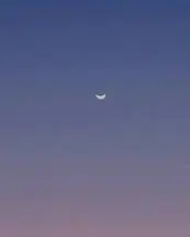 izadoraroxo_