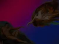 j0rd4n44