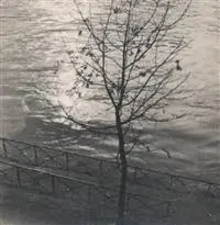 matteoimantova