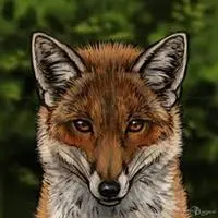 Raposa