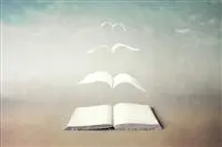 petala_desconhecida