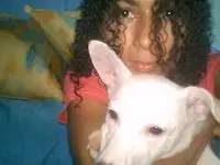 Ró Andrade