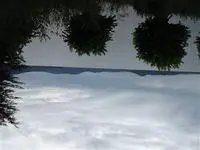 Tpinaborges