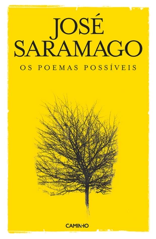 Os poemas possíveis